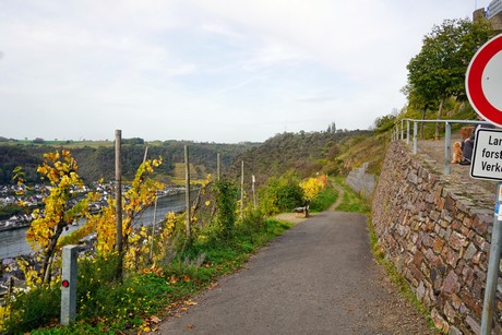Alken