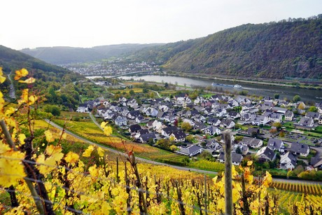 Alken