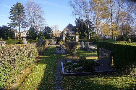 Arnoldsweiler
