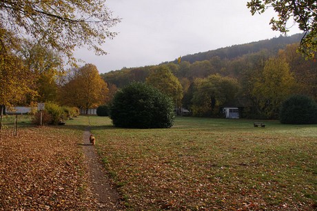 bad-bodendorf