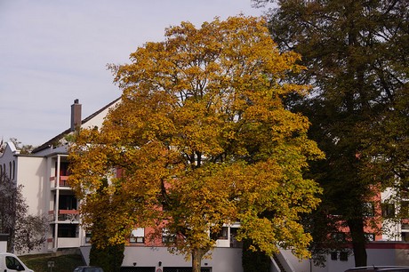 bad-bodendorf