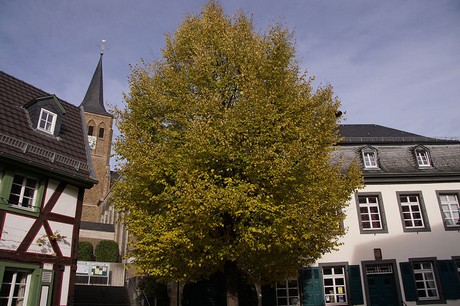 bad-bodendorf