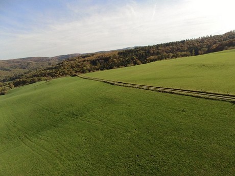 Bergrath