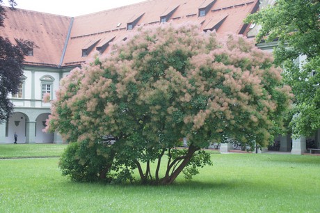 benediktbeuern