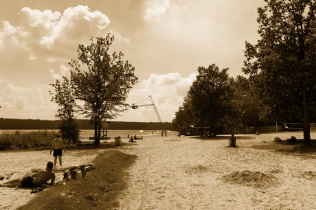 bleibtreusee