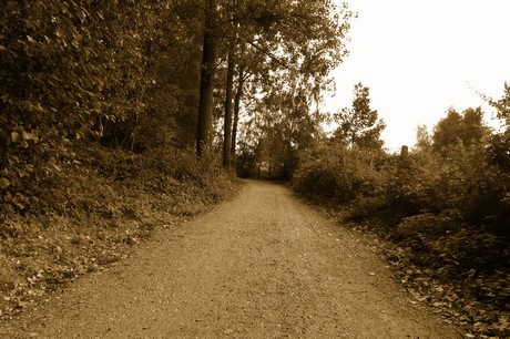 bleibtreusee