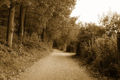 bleibtreusee