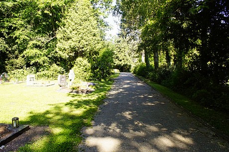 bruehl