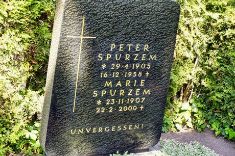 bruehl