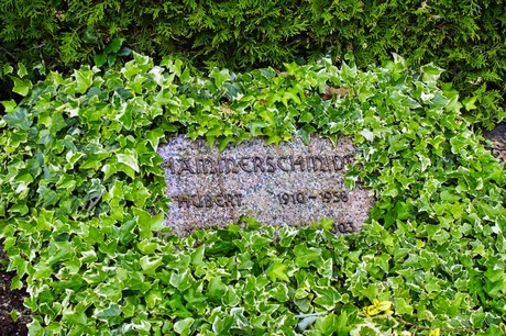 bruehl