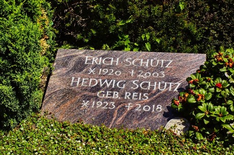 bruehl