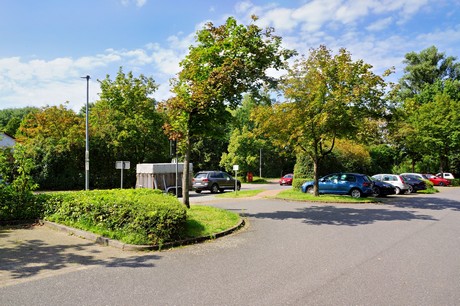 Dannenberg