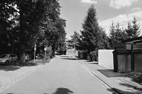 Dannenberg