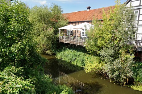 Dannenberg