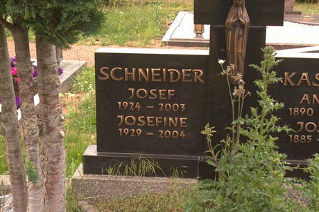 Dom-Esch