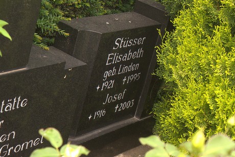 Dom-Esch