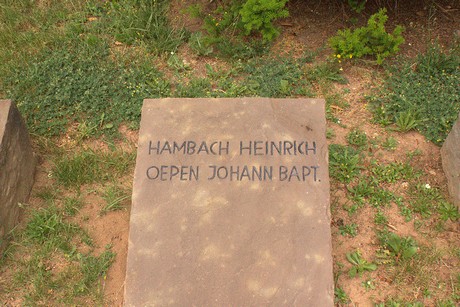 Dom-Esch