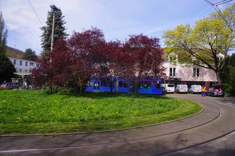 Dottendorf