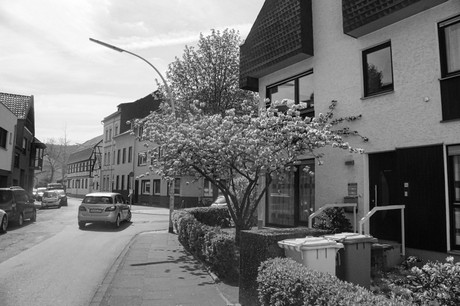 Dottendorf