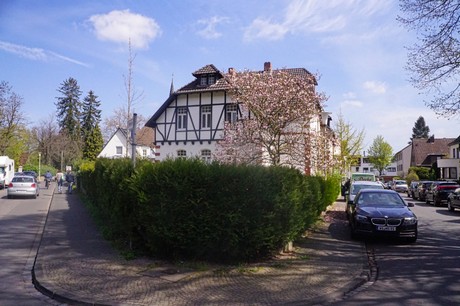 Dottendorf
