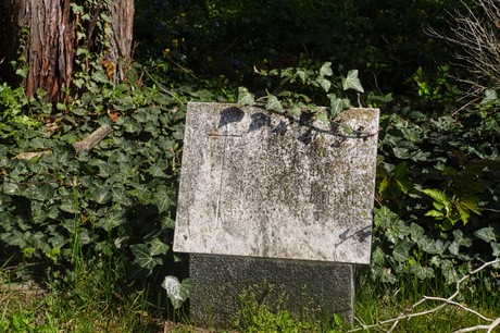 Dottendorf