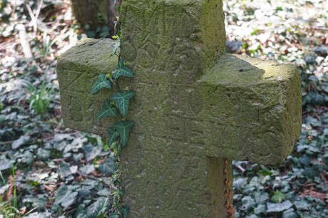 Dottendorf