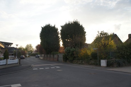dansweiler