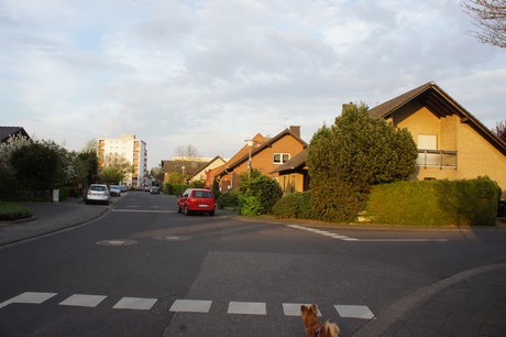 dansweiler