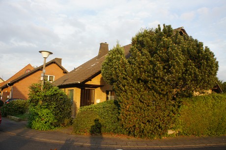 dansweiler