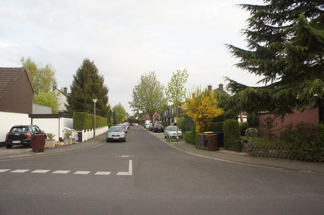 dansweiler