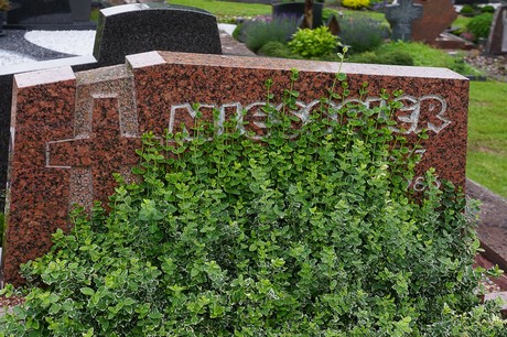 Eiserfey