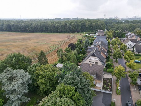 Fischenich