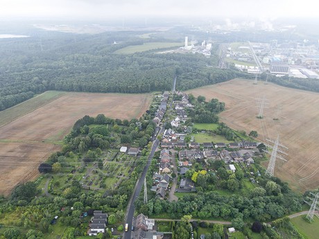 Fischenich