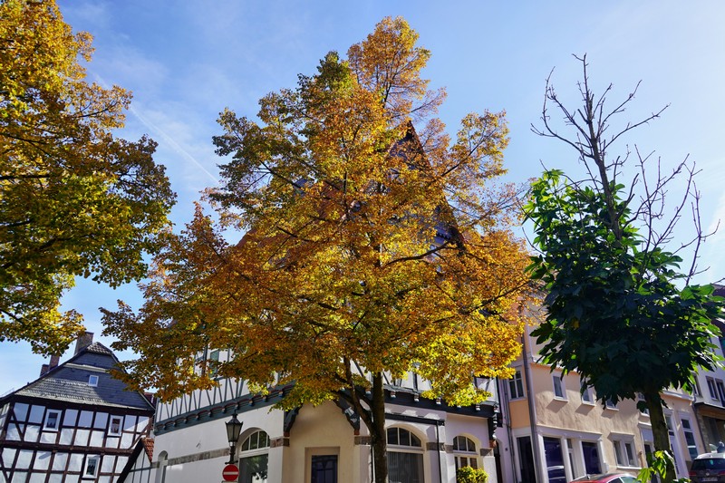 Frankenberg