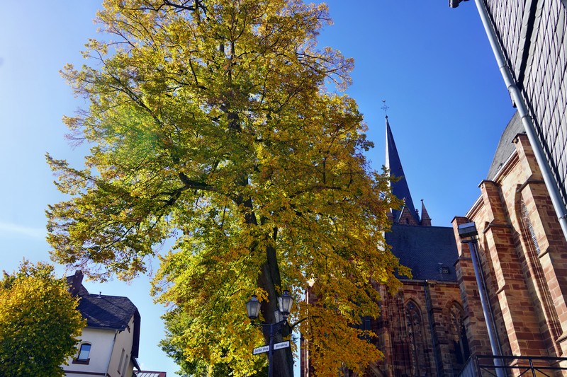 Frankenberg