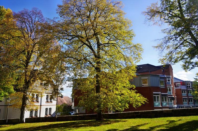 Frankenberg