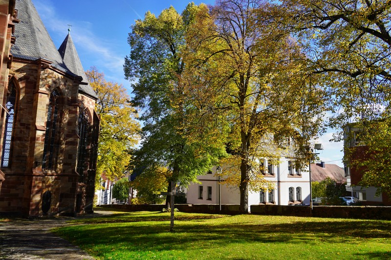 Frankenberg