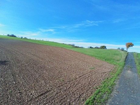 Frohngau