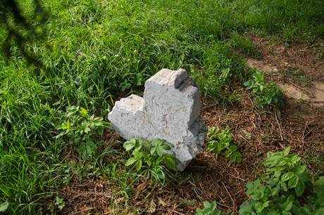 Froitzheim