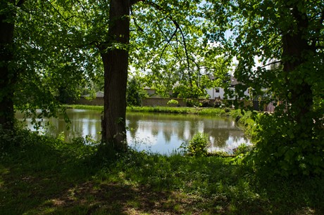 Fuessenich