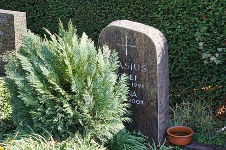 Graurheindorf
