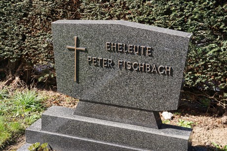 Graurheindorf