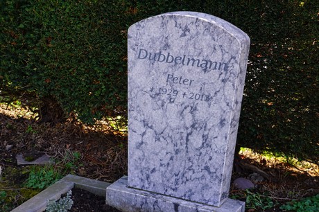 Graurheindorf