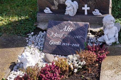 Graurheindorf