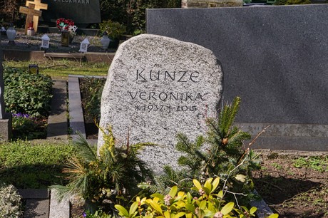 Graurheindorf