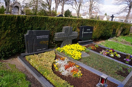 Graurheindorf