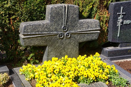Graurheindorf