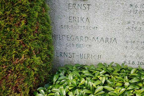 Graurheindorf