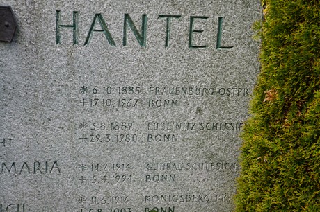 Graurheindorf