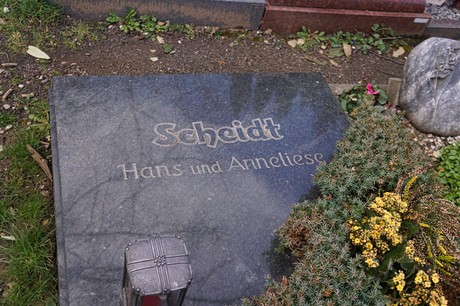 Graurheindorf